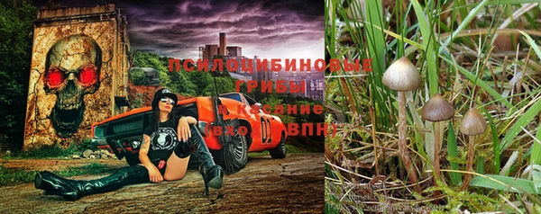 гидра Алексеевка