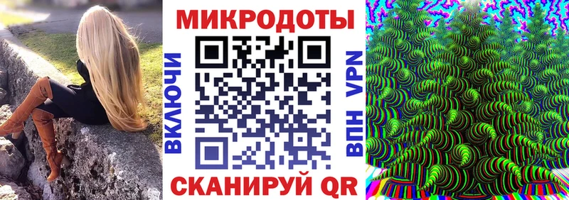 купить наркотик  Моздок  Псилоцибиновые грибы Cubensis 